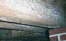 Rotted support in crawl space