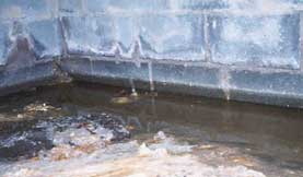 Water In Crawl Space