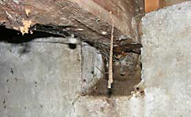 Rotted support in crawl space